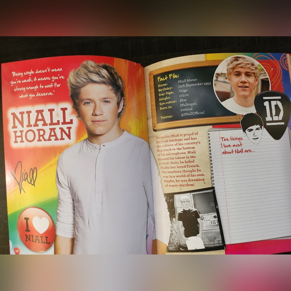 One Direction Secret Notebook 2013 - Picture 10 of 14